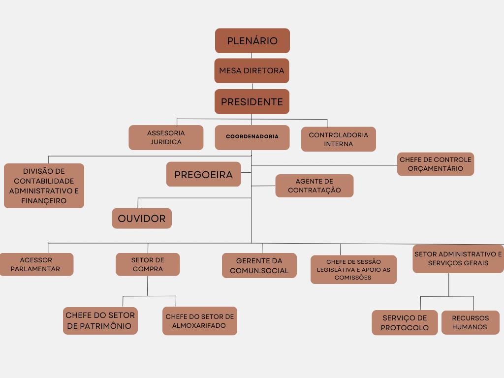 ORGANOGRAMA.jpeg